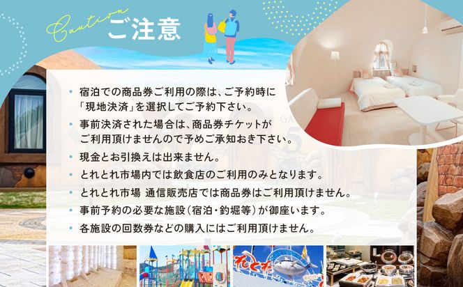とれとれヴィレッジ　3,000円分商品券(500円×6枚)チケット 304018_CB001