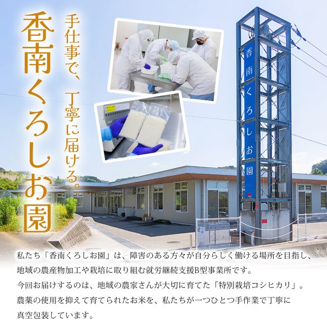 【令和8年度産】 米（コシヒカリ） 2合（300g) ×4 お米 精米 こしひかり 2合 特別栽培 真空包装 真空パック 使い切り SDGs 備蓄 こめ コメ お米 おこめ ライス ke-0061