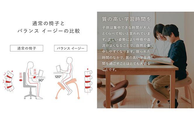 椅子 バランスイージー カバーなし 選べる フレーム カラー 姿勢矯正 インテリア 家具