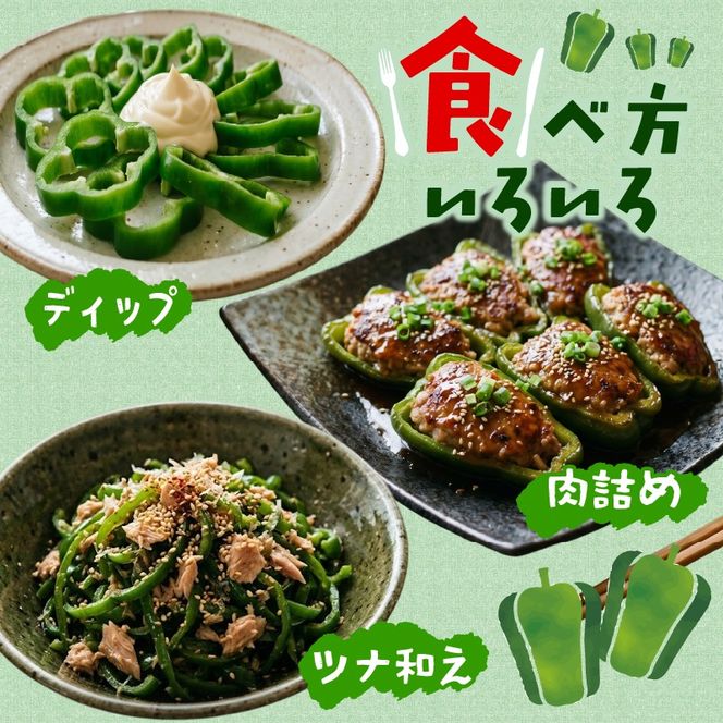 訳ありピーマン5kg [7-9月発送] 規格外 大容量 ピーマン 野菜 やさい 赤 緑 完熟 ぴーまん お裾分け 食品 旨味 ミネラル 栄養 自宅用 お試し ごはん 夕飯 おかず サラダ 被災 震災 火災 支援 大船渡 三陸 岩手県 国産