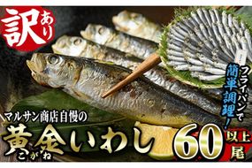 ＜訳あり＞黄金いわし (60尾以上) 黄金 いわし イワシ 丸干し 魚 海鮮 冷凍 おつまみ 小分け【GX002】【(有)マルサン商店】