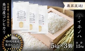 【令和7年産】 魚沼産コシヒカリ 「イネノハ 」精米(5kg×3) お米 白米 ご飯 産地直送 ミネラル 栄養分 こだわり 人気 新鮮 
