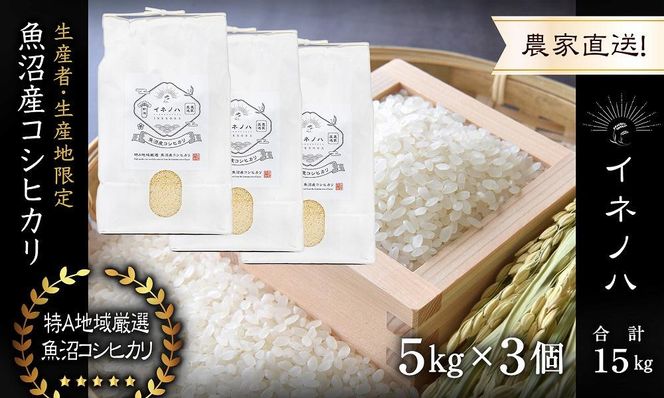 【令和7年産】 魚沼産コシヒカリ 「イネノハ 」精米(5kg×3) お米 白米 ご飯 産地直送 ミネラル 栄養分 こだわり 人気 新鮮 