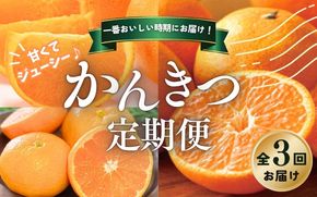 みかん【全3回】 柑橘 定期便 石本果樹園 旬の柑橘をお届け！ / フルーツ 果物 くだもの 柑橘 フルーツ定期便 くだもの定期便 定期便 みかん ミカン 温州みかん せとか カラマンダリン 産地直送 旬 人気 おすすめ 三重県 紀宝町  【tkb510】
