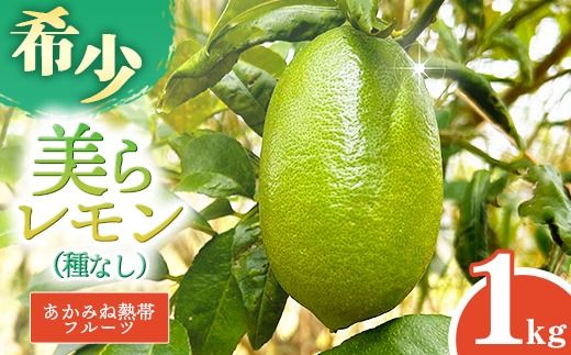 yꌧdzyȂz݂˔Mуt[c̔烌 1kg - Y 󏭎 ʏ` Ղ g₷ EG  Lemon  ꌧ d