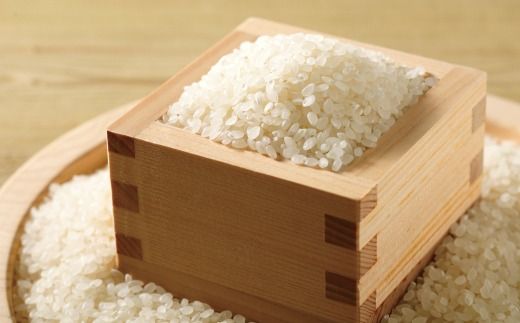 【令和7年産 新米 早期受付 数量限定】 四万十 の 米どころ 山間地域で育てた 大宮米 コシヒカリ 10kg 高知県 高知 しまんと 国産 お米 米 白米 精米 こしひかり 低農薬栽培 ご飯 産地直送 【2025年9月中旬より順次配送】25-305