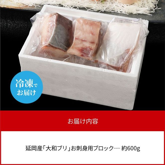 【大和海商】大和ブリの切り身 約600g N072-YA1103