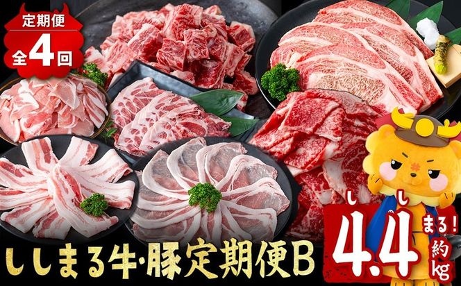 yuzuszy֑S4z܂鋍EؒB(4AE4.4kg) t0050-021