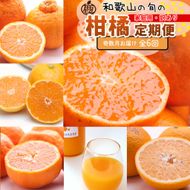 家庭用 柑橘定期便S（奇数月）全6回 ［IKE301］ 303446_BB90210