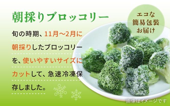 ブロッコリー 1kg 冷凍 旬の時期に急速冷凍 【福岡県糸島産】 糸島市 / オーガニックナガミツファーム 野菜[AGE053]