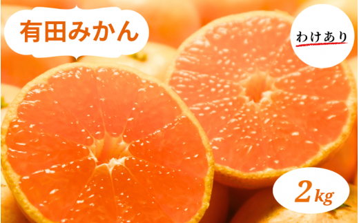 和歌山県産 有田みかん 2kg 訳あり ※2024年10月下旬～2025年1月中旬頃に順次発送予定（お届け日指定不可)【smt004】