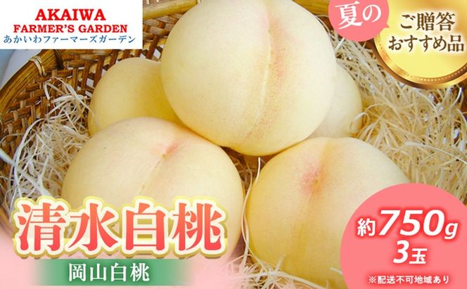 桃 2026年 先行予約 清水 白桃 約750g 3玉 もも 岡山県 赤磐市産 フルーツ 果物 あかいわファーマーズガーデン 果物類