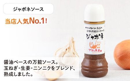 【ギフト用】レストランの味わい お肉がもっとおいしくなるソース詰め合せ(3種) 糸島市 / モンシュシュママの食卓 調味料 セット[AGH001] タレ 調味料 セット ソース ジャポネソース 焼肉 生姜焼き ステーキ 肉料理