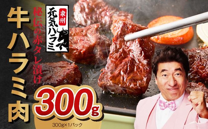010B1883 【お試し】牛ハラミ 300g【お試し 秘伝の赤タレ漬け 牛肉 焼肉用 焼くだけ はらみ 小分け BBQ やきにく 肉厚 高評価 訳あり サイズ不揃い】