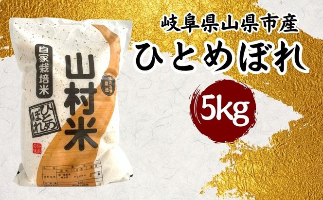 山県市産 ひとめぼれ 5kg（5kg×1袋）（白米） [No.796]