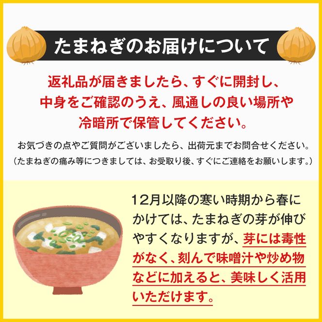 淡路島玉ねぎ（10キロ）　玉ねぎ 産地直送