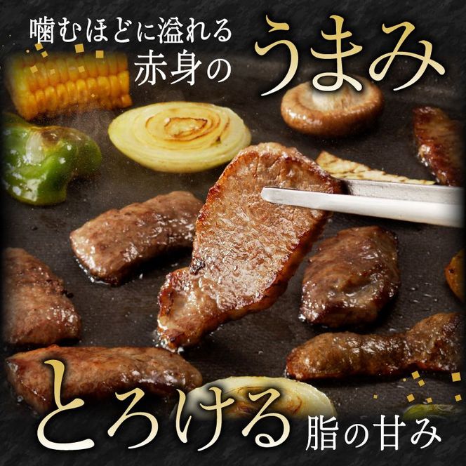 宮崎牛焼肉450g(A5等級) N061-YA672
