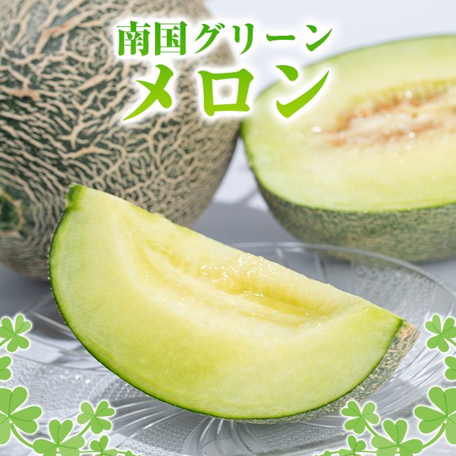 ＜先行予約受付中！2026年6月下旬以降順次発送予定＞数量限定！鹿児島県産南国グリーンメロン(2玉・計3kg) 数量限定 メロン フルーツ 青肉 果物 くだもの 果実 国産 九州産 鹿児島県産【松永青果】akn053-03