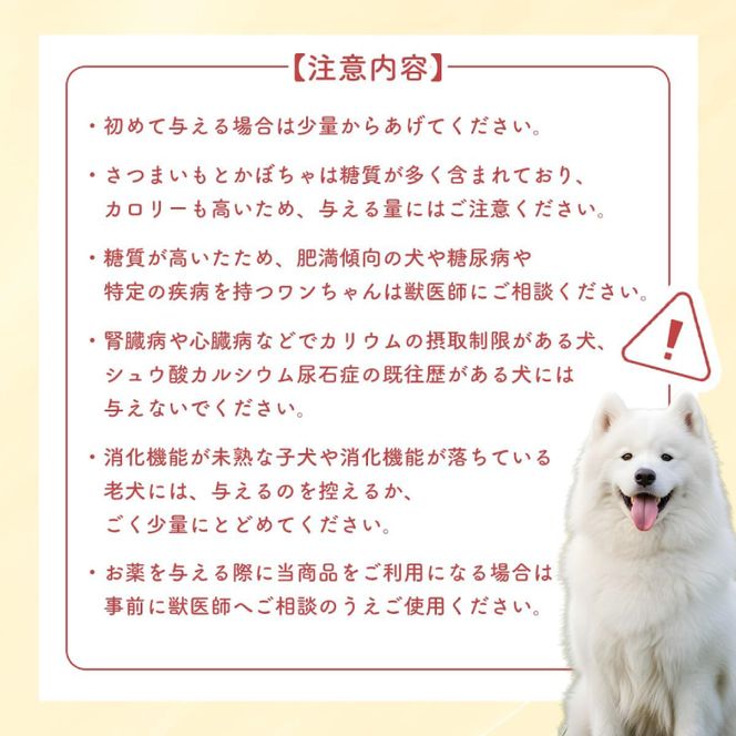 プラントベースアイスクリームセット　for humans and dogs さつまいも味・かぼちゃ味｜茨城県 行方市 ふるさと納税 アイス お菓子 植物性ミルク 豆乳 スイーツ デザート（HZ-2）