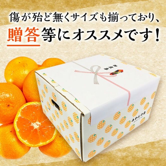 MK1045_2月28日終了！ 最短出荷すぐ届く！みかん Ｍサイズ 秀品 箱込 7.5kg ( 内容量 6.8kg ) 有田みかん 和歌山県産 産地直送 贈答用 【みかんの会】