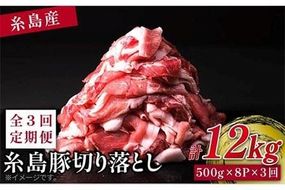 【 全3回 定期便 】糸島 豚 切り落とし 4kg ( 500g × 8P ) 糸島 【幸栄物産】[ABH017]