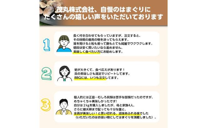 訳あり はまぐり 2kg 割れ 砂抜き無し SDGs ハマグリ 蛤 海鮮 魚介 海産物 国産 天然 産地直送 千葉県 九十九里