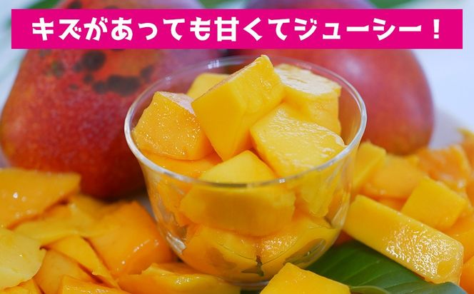 【災害支援】訳あり アップルマンゴー約2kg（3～5玉）【2026年発送】 家庭用 台風 沖縄 甘味 糖度 濃厚 美味しい 被害 おいしい お得 とろける甘さ 香り アーウィン 果汁 コスパ 箱入り 手頃 普段使い 自分用 ご褒美