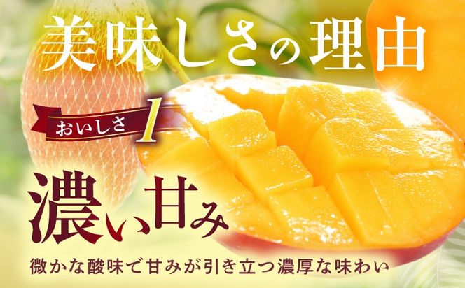 宮崎県産 完熟マンゴー 2玉 3L