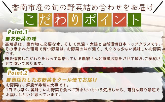 こだわりの新鮮野菜 ２回定期 Waf-0002