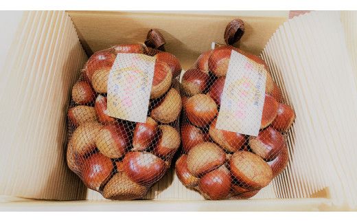 石岡 鶴沼 の 生栗 約2kg (石岡市 共通返礼品) 栗 くり クリ マロン 栗ごはん 栗ご飯 贈答 ギフト 秋の味覚 果物 フルーツ 数量限定 旬 秋 冬 正月 国産 秋 旬 旬の栗 お菓子作り 冷凍保存 先行予約