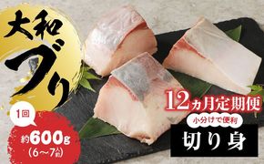 大和ブリの切り身　12ヶ月定期便 N072-YG0256