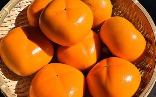 【秋の味覚】和歌山産のたねなし柿約7.5kg(L～4Lサイズおまかせ)※2026年10月上旬～2026年11月上旬頃順次発送【tec402B】