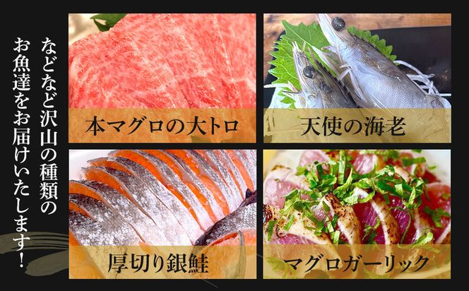 【定期便4ヶ月】まぐろや　特別セット【 惣菜 まぐろ 鮪 本鮪 サーモン 海老 お刺身 海鮮 セット 福袋 キンメ きんめ お取り寄せ 御中元 お中元 お歳暮 父の日 母の日 贈り物 日本酒 焼酎】【 神奈川県 小田原市 】 142069_DQ175