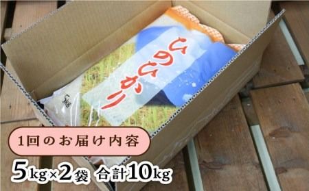 【全6回定期便】ひのひかり 10kg × 6回 糸島市 / 三島商店 [AIM015] 米 白米