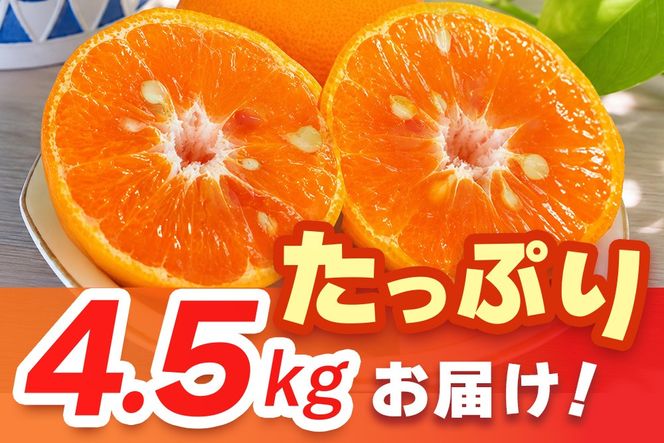 【2027年4月上旬より発送開始】南津海(なつみ)みかん 4.5kg【みかん 柑橘 オレンジ ポンカン フルーツ デザート 果汁】(H116156)