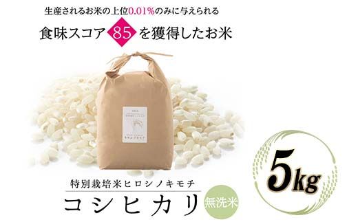 特別栽培米 コシヒカリ ヒロシノキモチ 無洗米 5kg ブランド米 銘柄米 国産 米 お米 日本米 ギフト 贈り物 備蓄 防災 食品 陽咲玲 はるざれ F6T-986