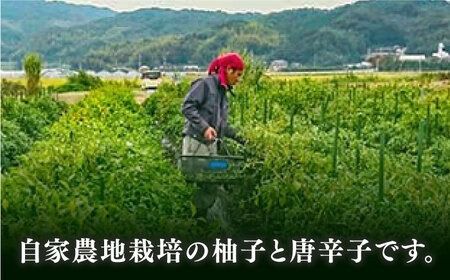 極上 手造 ゆずこしょう 青 8本セット 糸島市 / 小林農園 調味料 柚子胡椒 [AZE004] 柚子胡椒 ゆずごしょう ゆずこしょう 柚子こしょう 調味料 ゆず 柚子 鍋