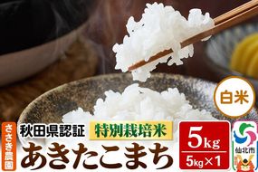 令和7年産 秋田県認証 特別栽培米 あきたこまち（白米）5kg×1袋 米|02_ssn-010501