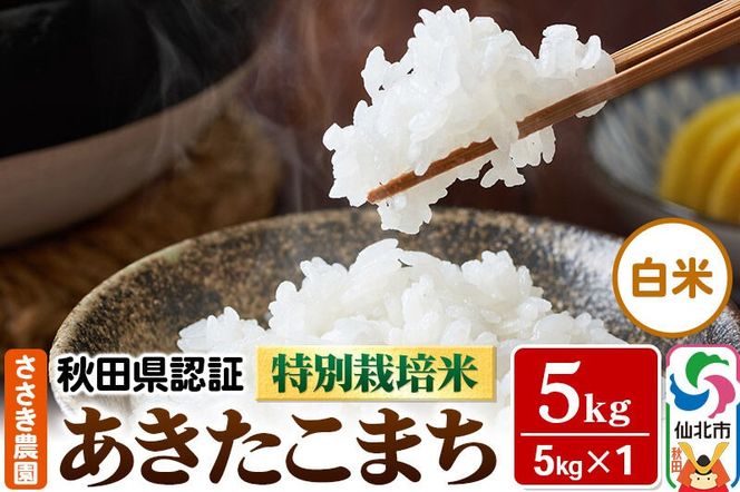 令和7年産 秋田県認証 特別栽培米 あきたこまち（白米）5kg×1袋 米|02_ssn-010501
