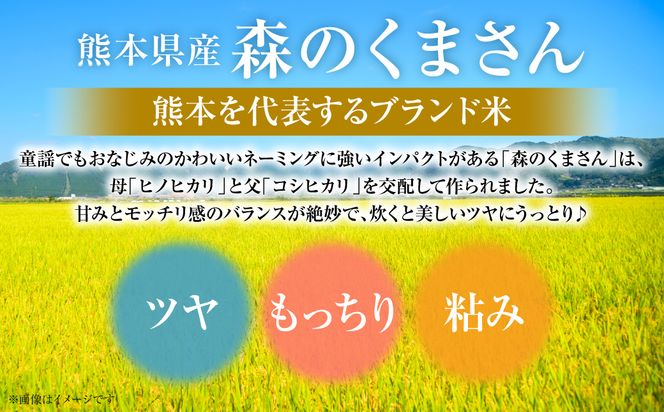 【令和7年産】 熊本県産 森のくまさん 5kg (5kg×1袋) オリジナルパッケージ 米 お米 精米 白米 ごはん ご飯 熊本