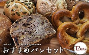 バックハウスブラウ（Backhausblau)おすすめパンセット12種類 | パン ぱん ドイツパン パンセット ベーカリーセット 詰め合わせ 食べ比べ 朝食 冷凍 冷凍パン 送料無料 岐阜県 瑞穂市 ※離島への配送不可