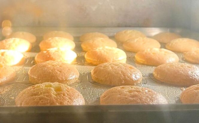 【年内発送】糸島レモンケーキ 8個入り 糸島市 / 果摘[ALP001] レモンケーキ 焼き菓子 スイーツ 国産レモン お菓子 おやつ チョコレート