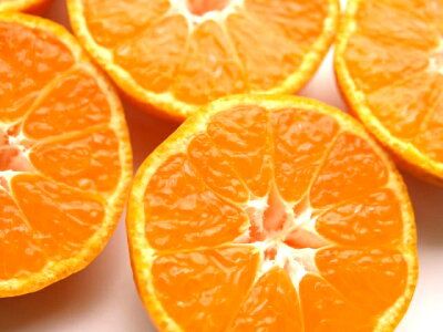 ZT6201n_【2026年先行予約】赤秀 有田みかん 2kg 2S～Mサイズ おまかせ 手作業 新鮮 濃厚 甘み ほどよい 酸味 バランス 有田 みかん 温州みかん フルーツ 果物 柑橘 国産 食品 食べ物 おやつ デザート フレッシュ 産地直送 お取り寄せ 和歌山県 湯浅町 送料無料