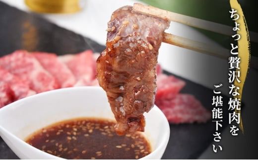 ★お試し★250g　訳あり 飛騨牛 焼き肉用 切り落とし | 牛 牛肉 焼肉 BBQ バーベキュー 切り落とし ※離島への配送不可