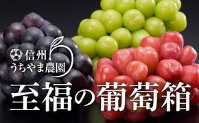 【秋に届く】至福の葡萄箱(3色セット) 合計約1.5kg《信州うちやま農園》■2025年発送■※10月上旬頃～10月下旬頃まで順次発送予定