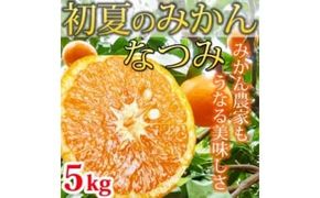 初夏のみかん なつみ5kg