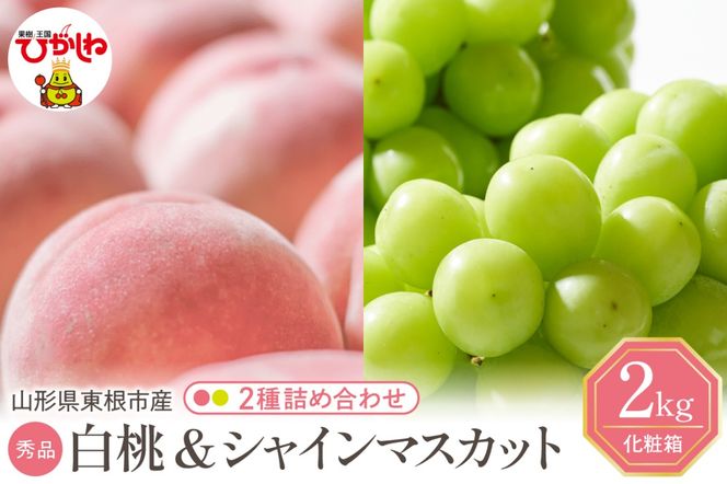 yR`szy2026NzsY ii킨܂jVC}XJbg lߍ킹 Gi ϔ 2kg R` s hi027-243