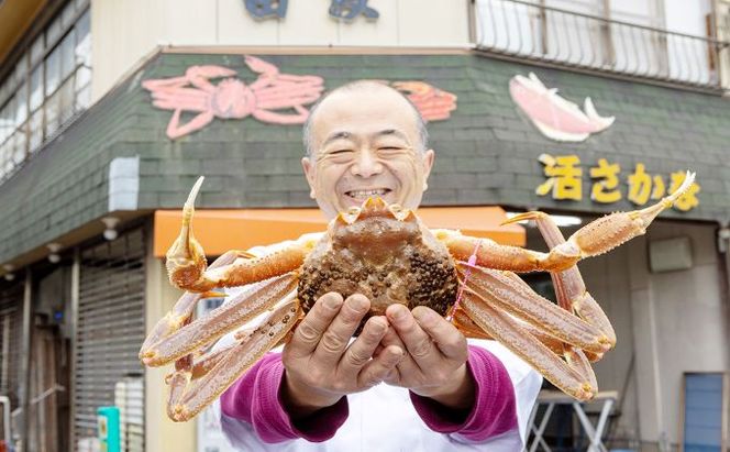 【配送日指定可】茹で松葉蟹 大1杯 900g級 蟹 カニ かに 松葉蟹 松葉ガニ ズワイガニ 海鮮 ボイル myz05 myz11 myz16