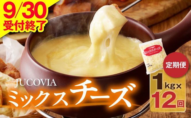 099Z338 【9/30受付終了】JUCOVIA ミックスチーズ 定期便 1kg×全12回【小分け 普段使い 高評価 ちーず 乳製品 ムラカワチーズ 一人暮らし ファミリー ピザ トースト】