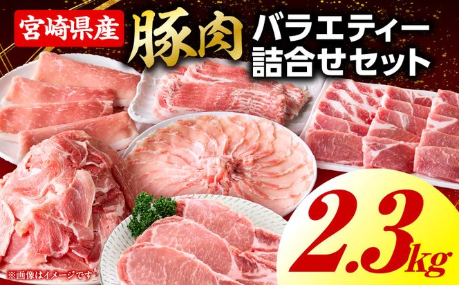 豚肉バラエティー詰合せセット【2.3kg】_kn085-013